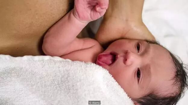 费洛蒙密码：靠催情气味就能找到真爱？