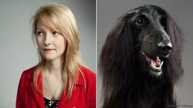 除了长相，狗的性格特征可能也和主人相似