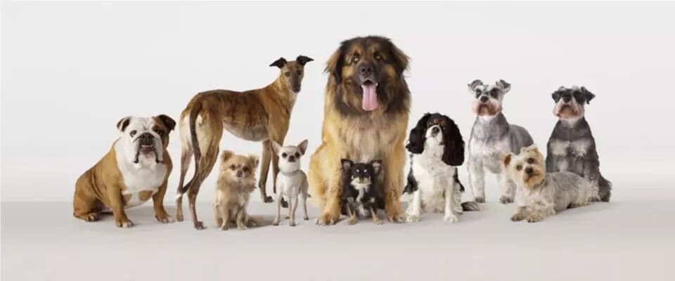 图源：theodysseyonline