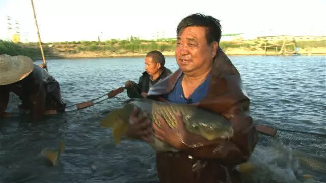 农业节目致富经养牛视频_致富经养牛视频_致富养牛创业视频