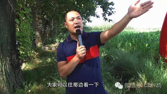 致富经 cctv7_cctv7致富經山鼠养殖_致富经