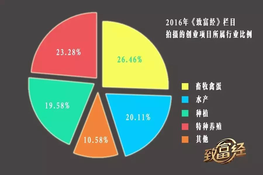 农业节目致富经_农业致富节目卢婷视频_2015农业致富好项目