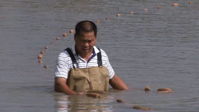 致富经养鱼_致富经养鱼视频大全集_致富养鱼视频