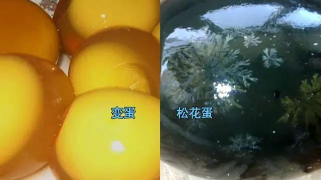 致富小视频加工厂_致富经全部视频_致富经视频下载官方网站