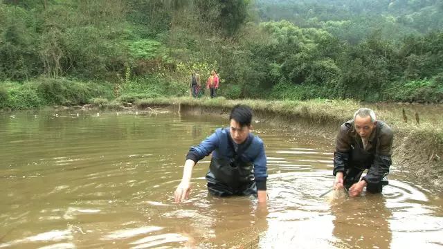 致富经养鱼视频大全集_致富经养鱼一年多赚1000万_养鱼致富经