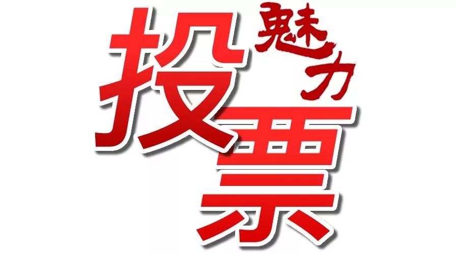 投票 | 《魅力中国城》谁来当茂名的城市代言人?