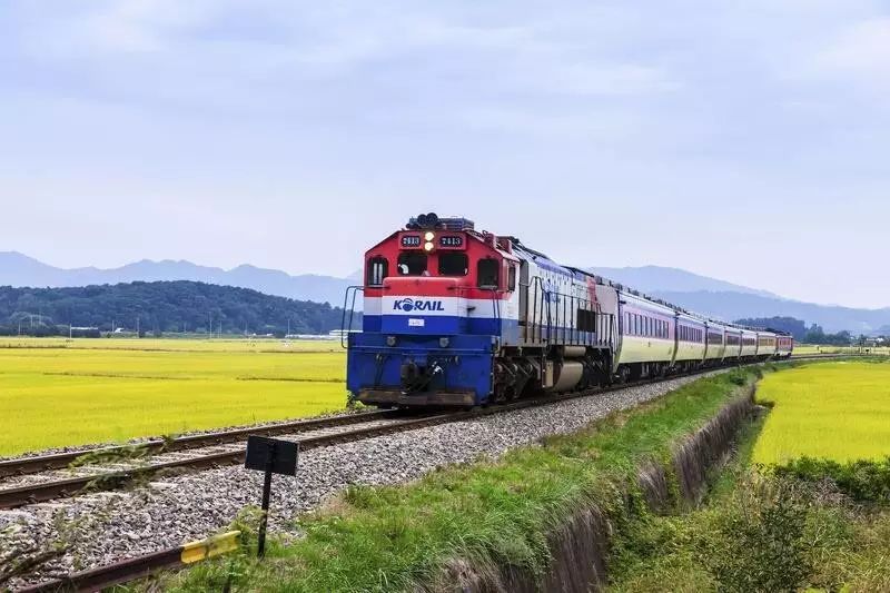 从成都坐火车400元就能到新疆?沿途风景美成画儿