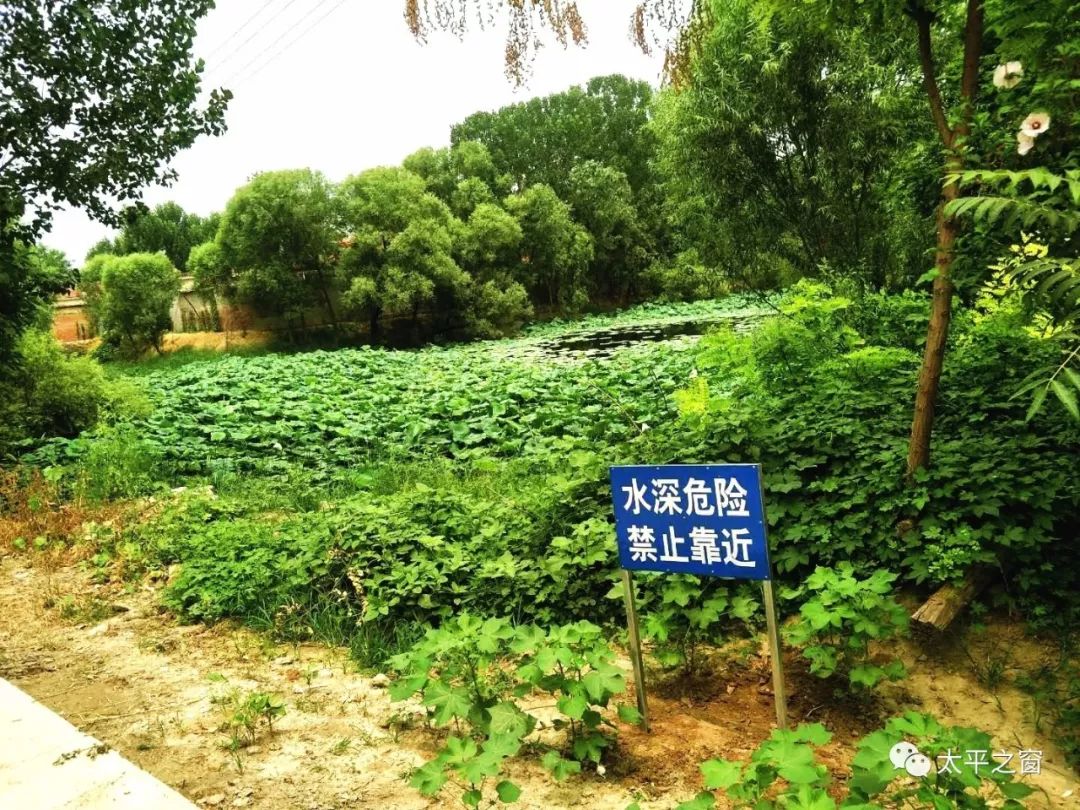 太平街道近百块防溺水警示牌为青少年"站岗"沂水青岛路科尼别墅希图片