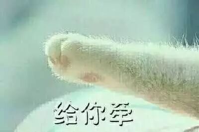 不要随便跟男朋友玩表情包斗图,会被拉黑的!