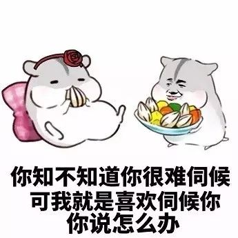 你就准备嫁给我吧 我的老婆大人 大家平时爱用表情包吗?