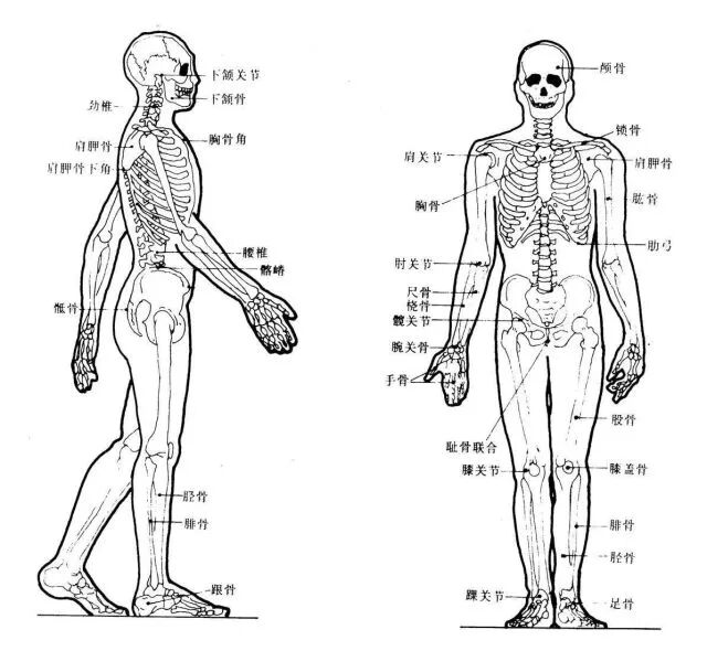 陈志朋穿袜子凹造型难看?!这款暖和又显瘦的袜子你穿来看看!