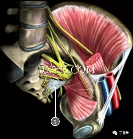 s拉钩怎么用RICHTER