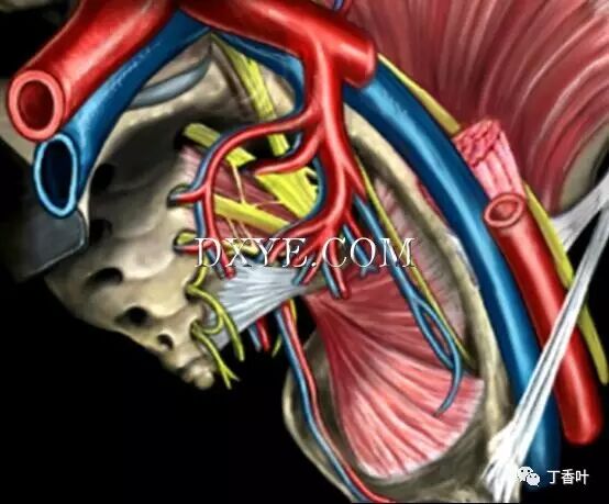 s拉钩怎么用RICHTER