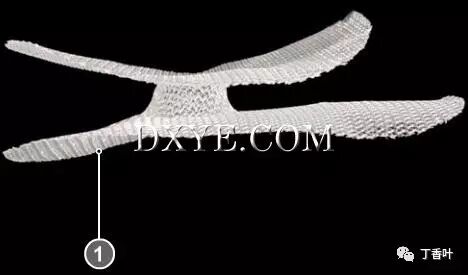 疝气补片怎么固定双层补片修补腹股沟疝（图文演示）_https://www.jmylbn.com_新闻资讯_第56张