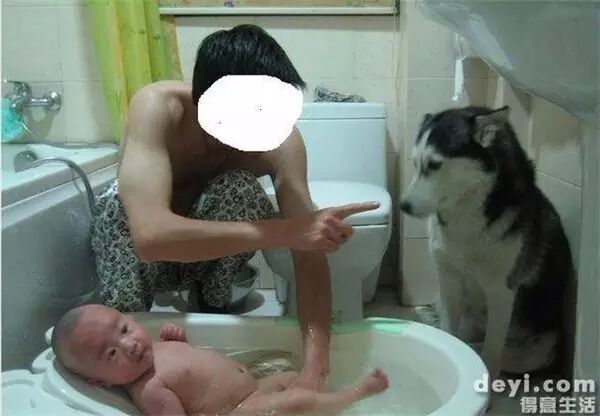 说怀孕就不能养狗的人,那是他们没有常识!-怀孕期