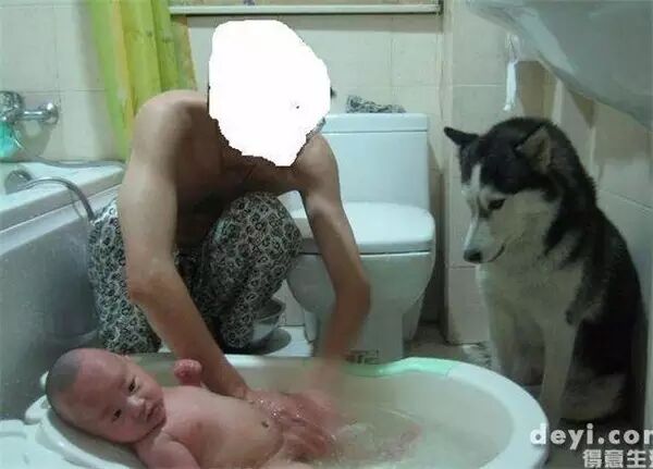 说怀孕就不能养狗的人,那是他们没有常识!-怀孕期