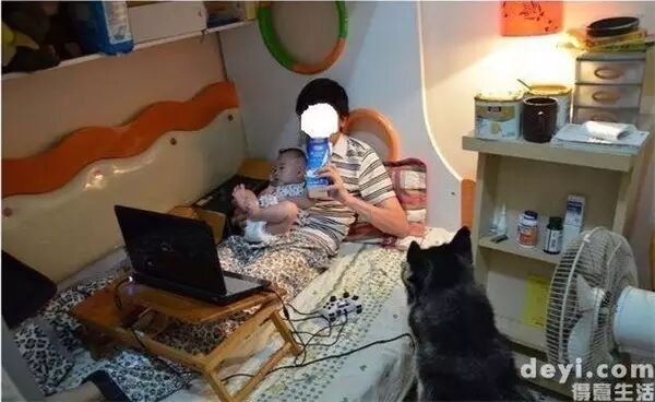 说怀孕就不能养狗的人,那是他们没有常识!-怀孕期