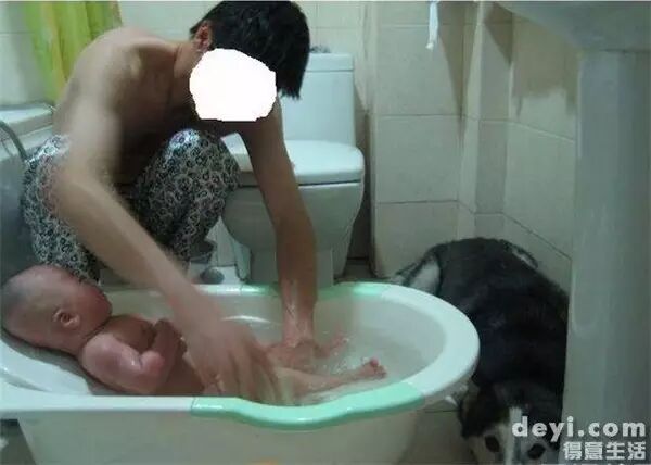 说怀孕就不能养狗的人,那是他们没有常识!-怀孕期