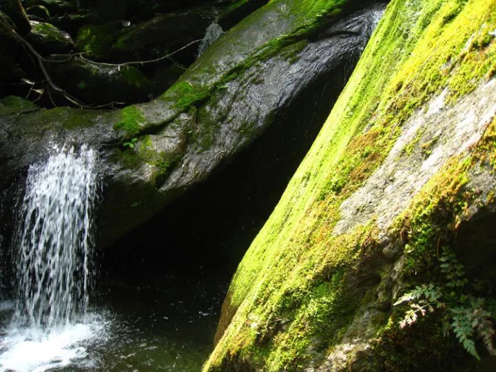 首阳山,位于周至县九峰乡耿峪境内,海拔2870米,号称千里秦岭第二峰,是