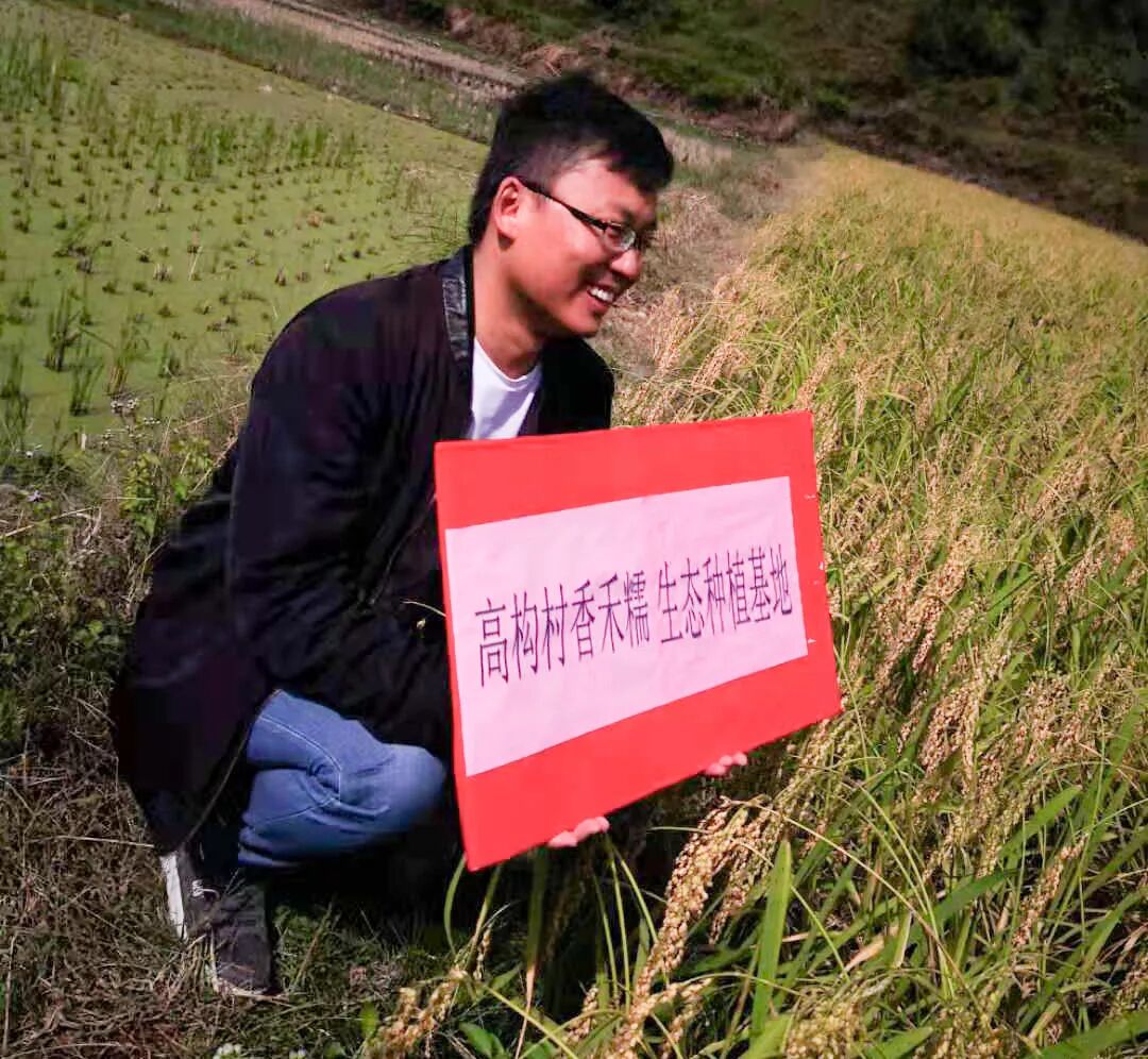 一碗香禾糯，品尝一方山水田园里的古老味道