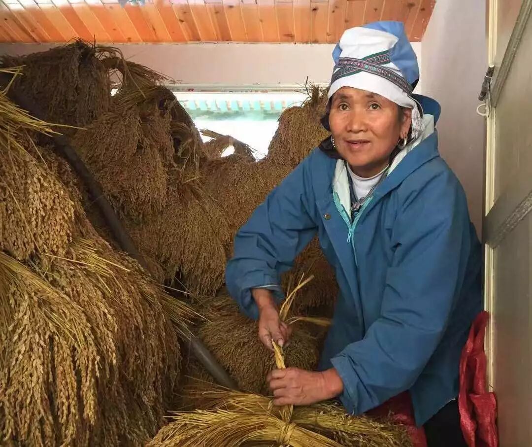 一碗香禾糯，品尝一方山水田园里的古老味道