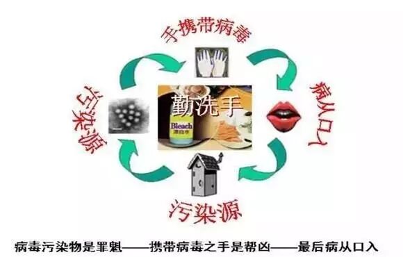 諾如病毒是什么啥癥狀 吃了沒洗的草莓安徽兩名兒童被感染了