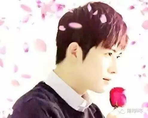 陈学冬你是暖冬的唯一