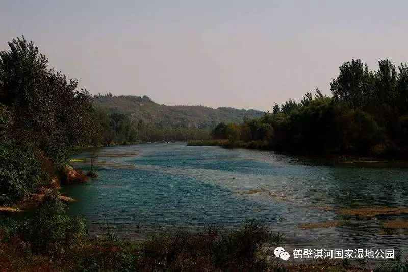 鹤壁淇河湿地