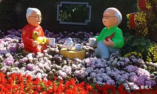 国外老人不跳广场舞,他们退休后都干什么?看完恍然大悟! - 栖息 - 天 地 人 和 栖息的博客 国外老人不跳广场舞,他们退休后都干什么?看完恍然大悟! - 栖息 - 天 地 人 和 栖息的博客