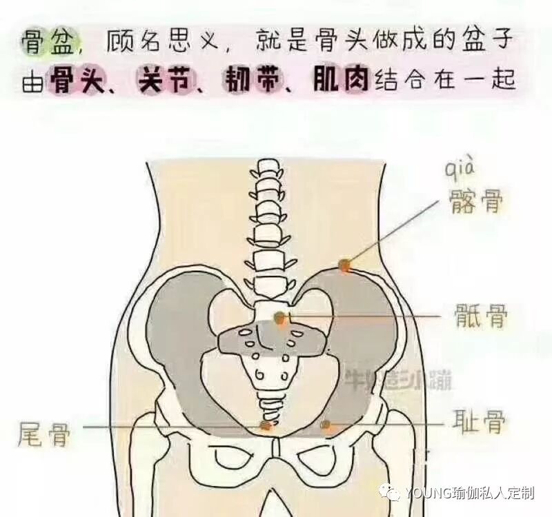 正常骨盆
