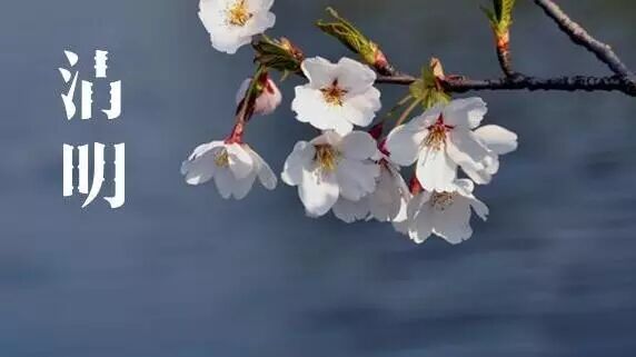 清明节：想念你，我的亲人！