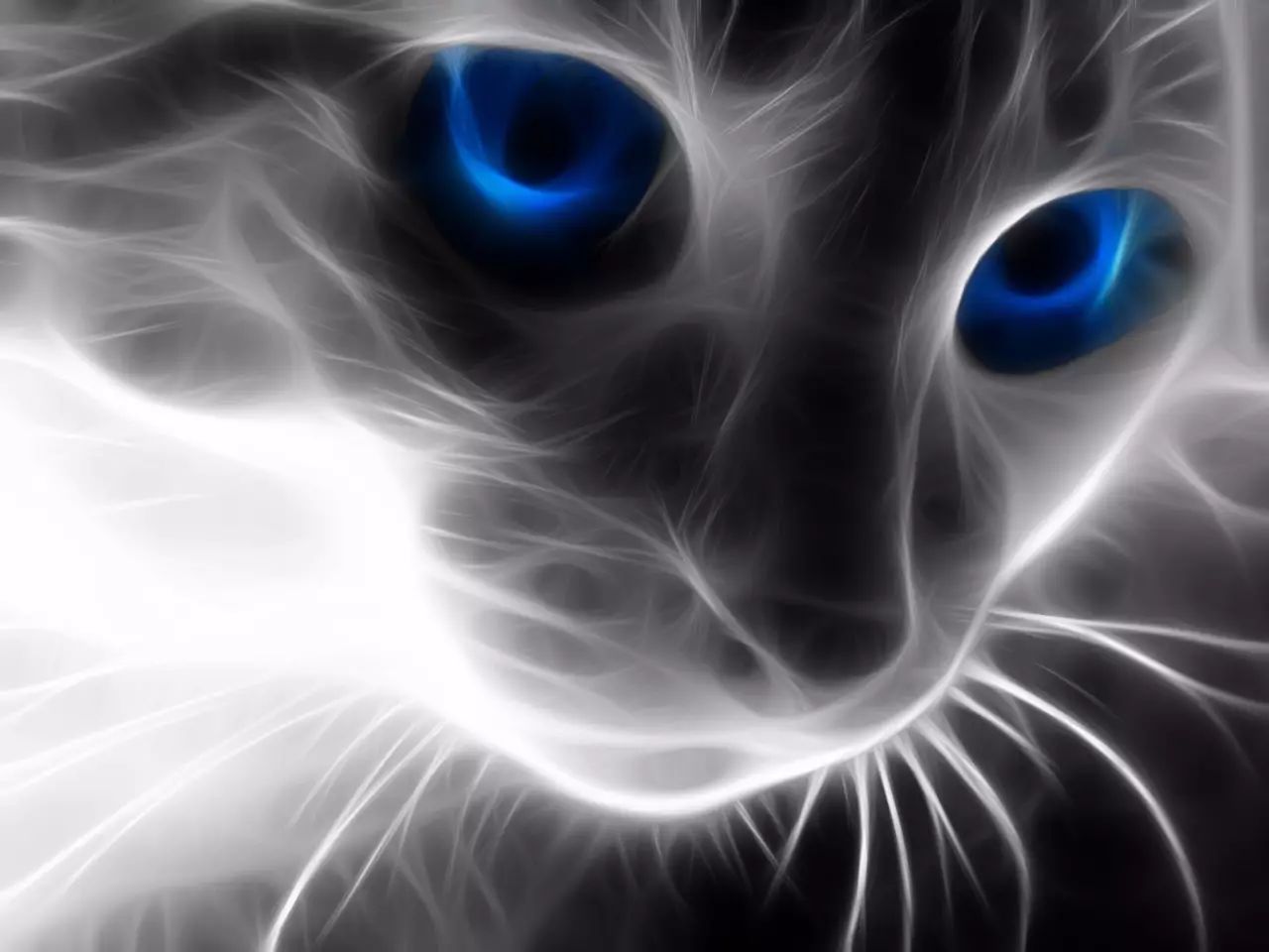 猫神奶奶觉得自己上辈子一定是做