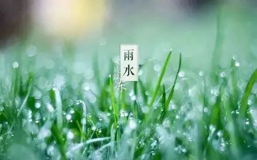 大部分时间 我们都将在雨水中度过了          雨水节气要来啦