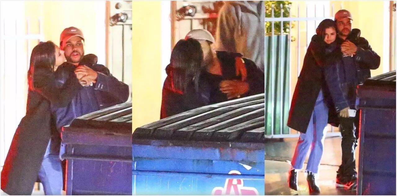 重磅  Selena Gomez和盆栽哥在交往?!