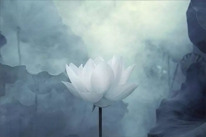 45度做人，90度做事，180度为人，360度处世