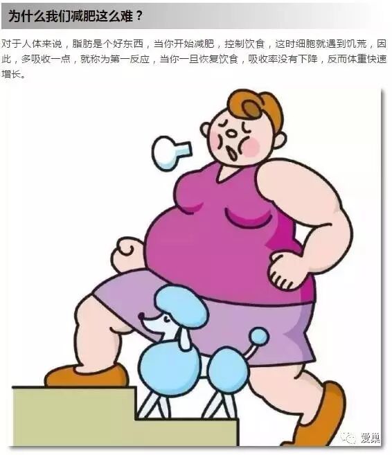 減肥手術(shù)有什么危害_減肥手術(shù)醫(yī)保能不能報銷_手術(shù)減肥