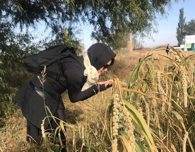 袁立变身地主婆 全副武装下地干农活