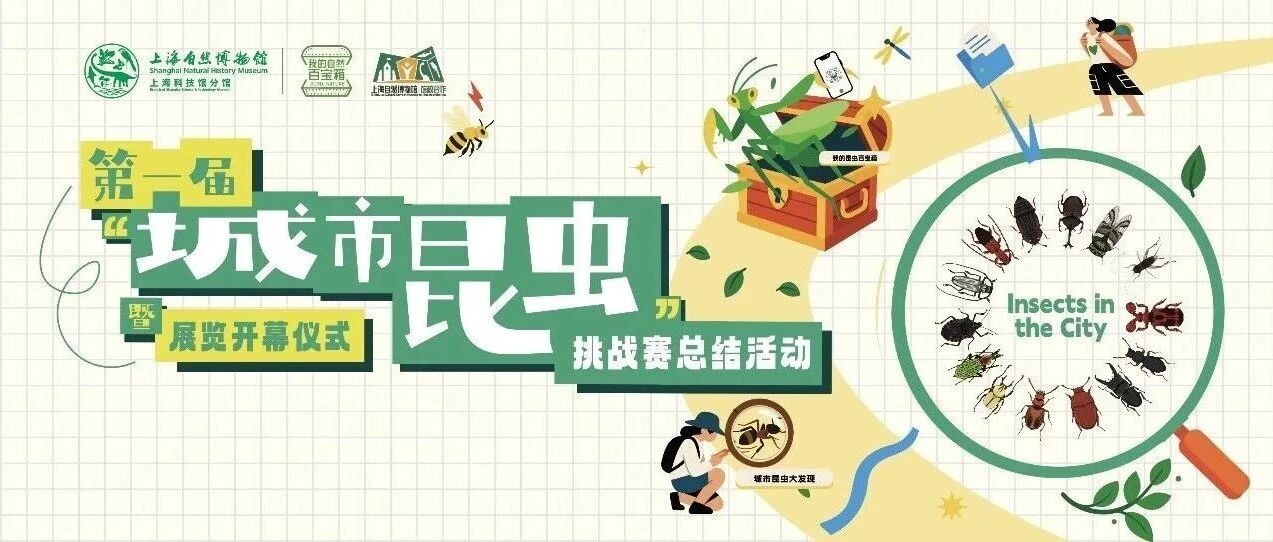 上海国际自然保护周“城市昆虫”展览搬进公园，等你来探秘！