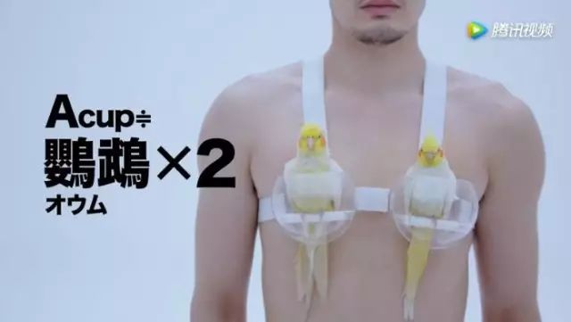 日本搞笑内衣广告，你知道女性胸部的重量吗？