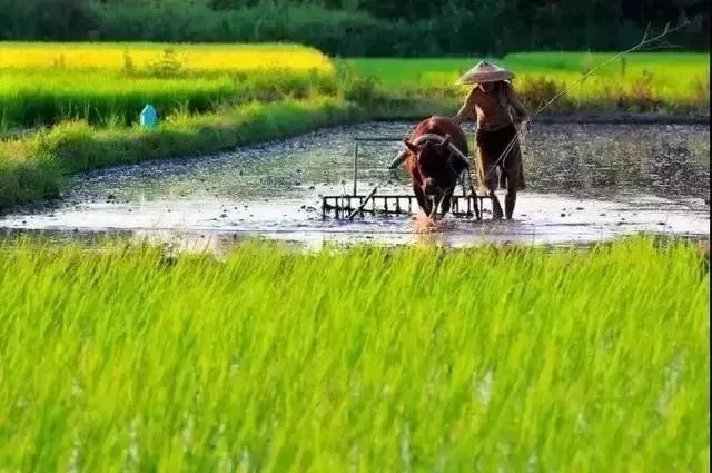 二,乡村旅游扶贫工程主要任务