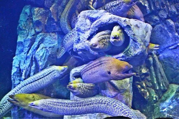 显示屏基础知识