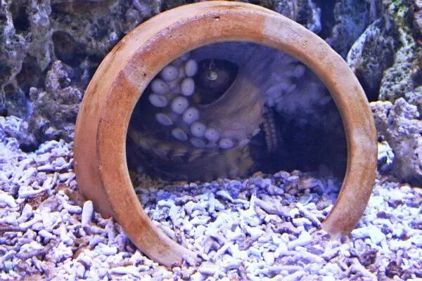 显示屏基础知识