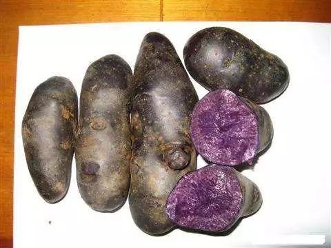 了黑色土豆。这种土豆外皮发黑，要是不了解的人，还以为是土豆烂掉了。