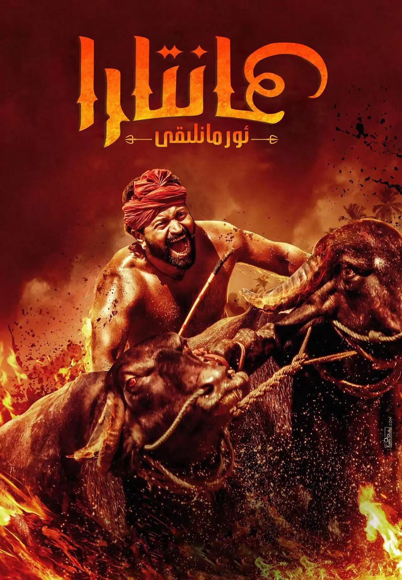 كاننارا ئورمانلىقى
