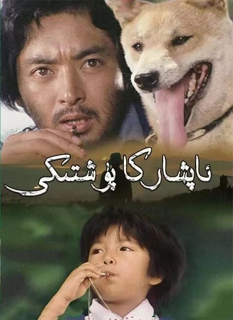 ئاپشاركا پۈشتىكى