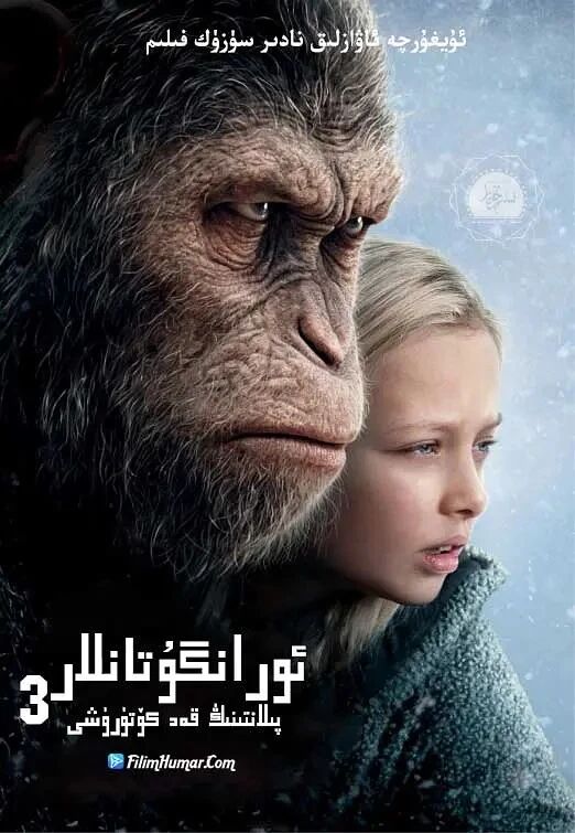 شىمپەنزىلەر غەليانى 3