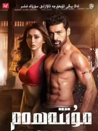 مۇتەھەم پالۋان