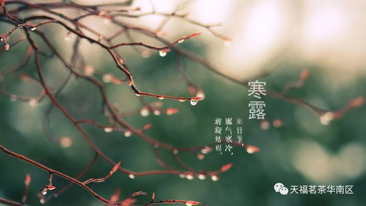 寒露丨寒露脚不露,饮食要润燥,保暖最重要