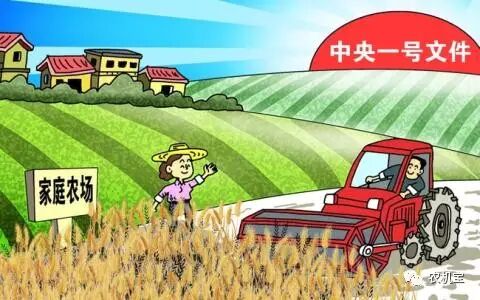 农机合作社:借力“一号文件”发展正当时 农机合作社:借力“一号文件”发展正当时