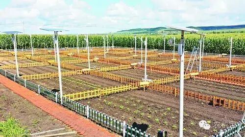 【农机最前线】☞数字化技术支撑未来农业科学管理 【农机最前线】☞数字化技术支撑未来农业科学管理